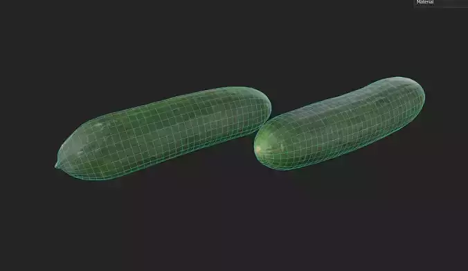 Cucumber M04 Low-poly 3D model 2