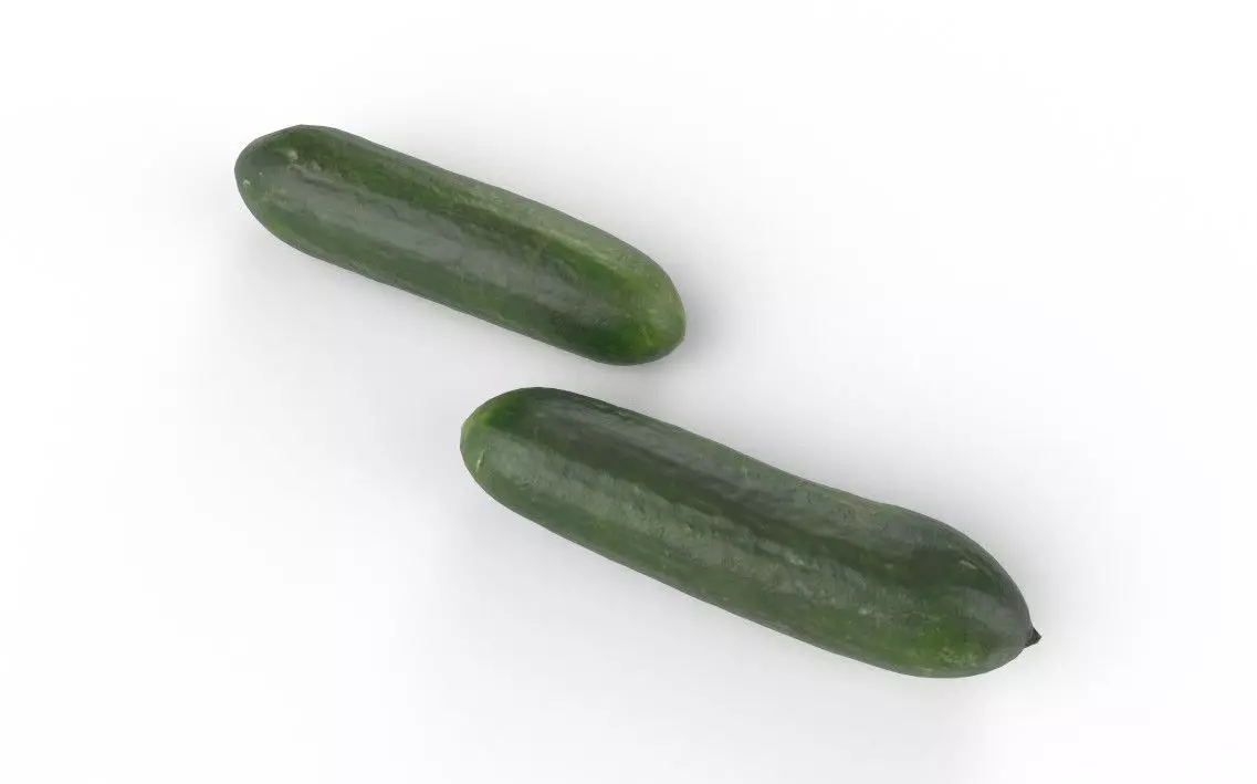 Cucumber M04 Low-poly 3D model_3