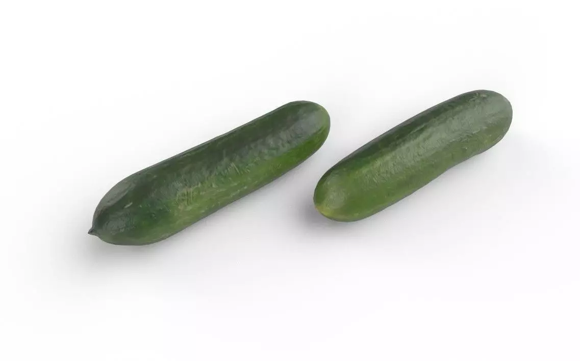 Cucumber M04 Low-poly 3D model_4