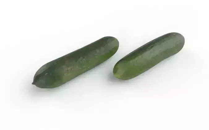 Cucumber M04 Low-poly 3D model 5