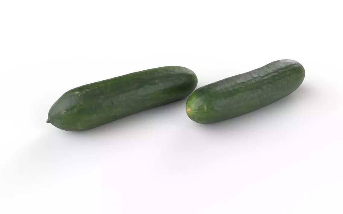Cucumber M04 Low-poly 3D model_0