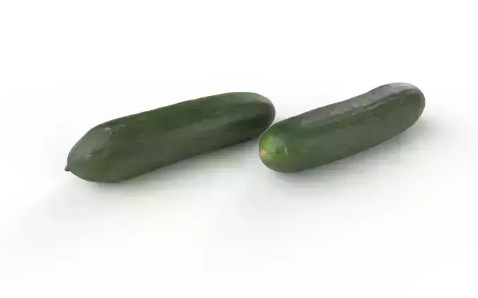 Cucumber M04