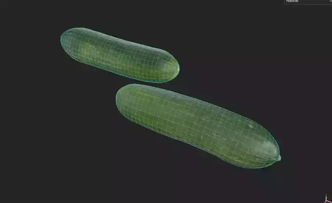 Cucumber M04 Low-poly 3D model 7