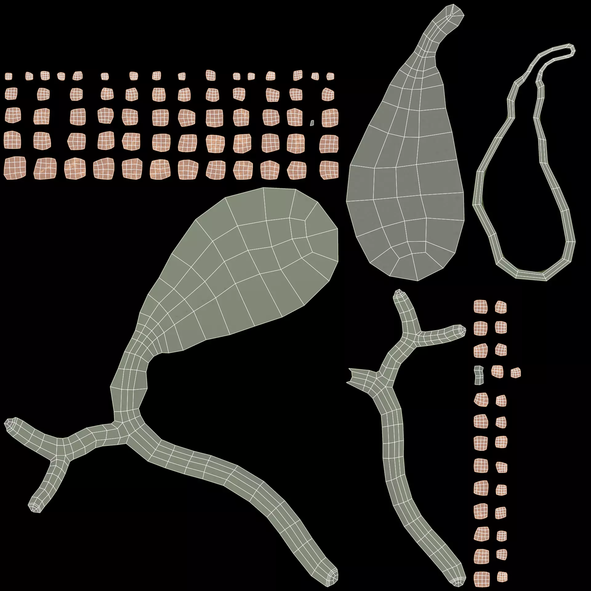 Gallbladder Set - Full Human Organ with Section and Gallstones  3D model_11