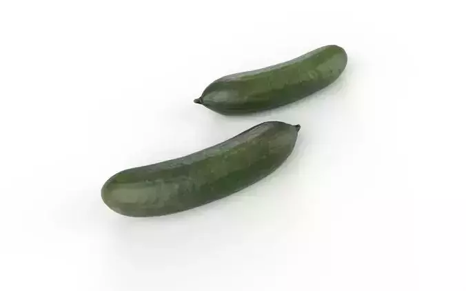 Cucumber M08