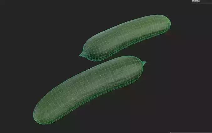 Cucumber M10 Low-poly 3D model 7