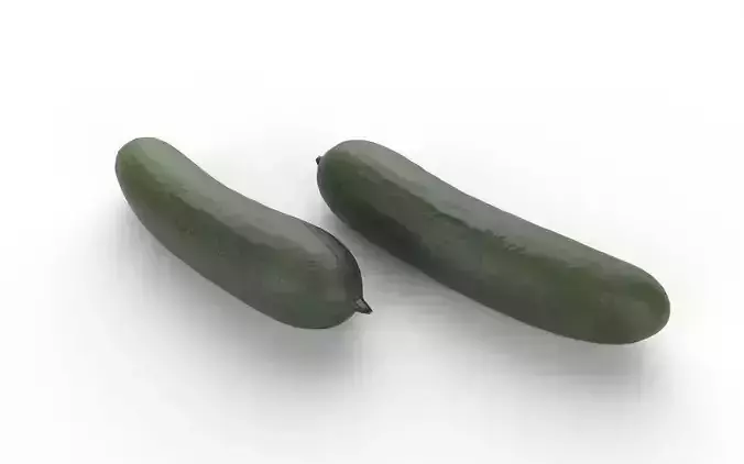 Cucumber M10 Low-poly 3D model 5