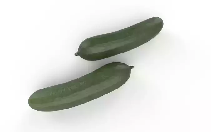Cucumber M10 Low-poly 3D model 4