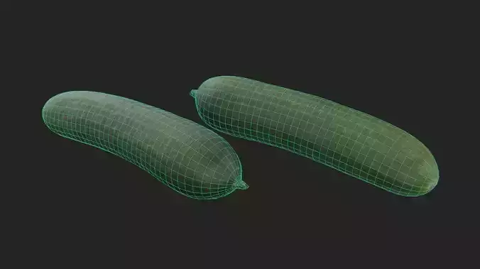 Cucumber M10 Low-poly 3D model 2