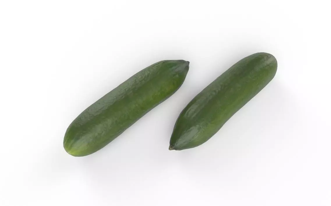 Cucumber M11 Low-poly 3D model_4