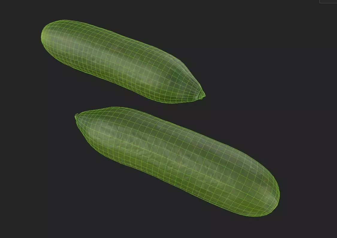 Cucumber M11 Low-poly 3D model_6