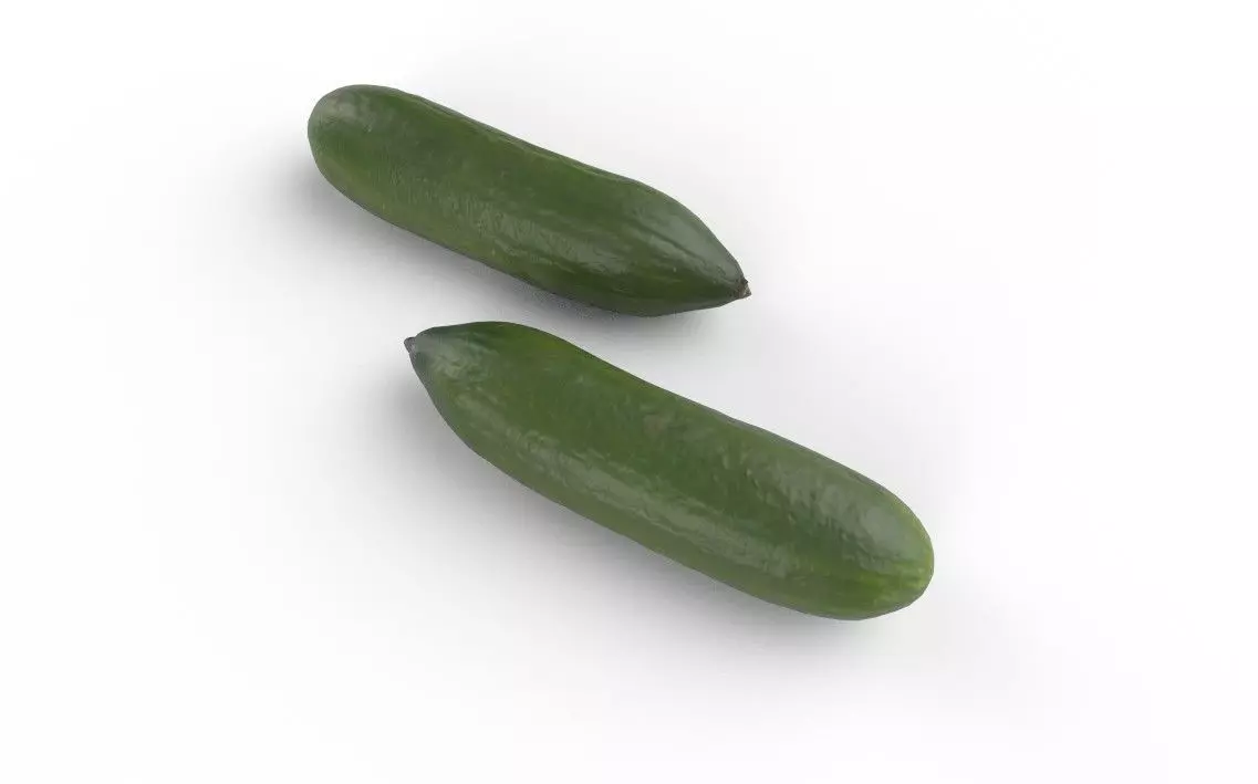 Cucumber M11 Low-poly 3D model_3