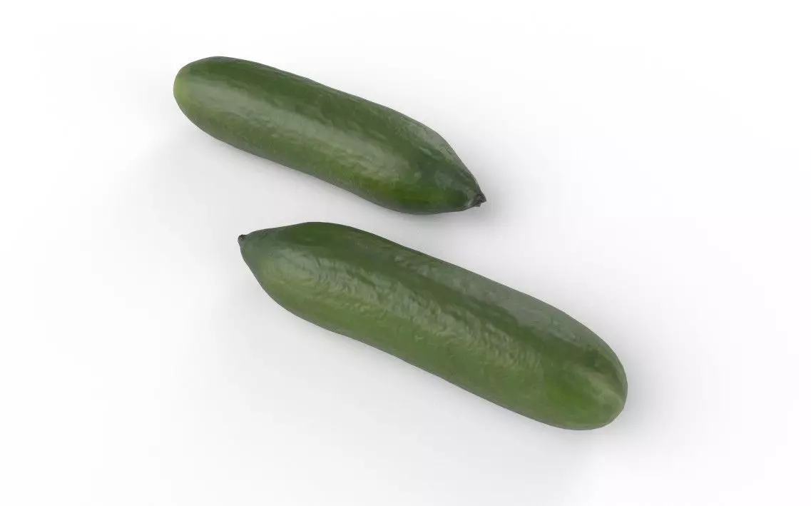 Cucumber M11 Low-poly 3D model_5