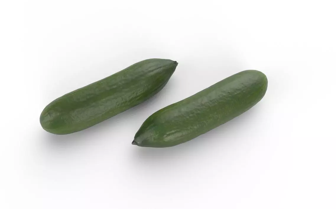 Cucumber M11 Low-poly 3D model_0