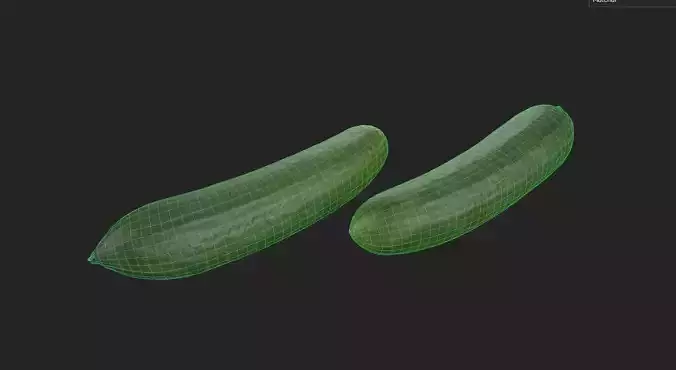 Cucumber M13 Low-poly 3D model 2