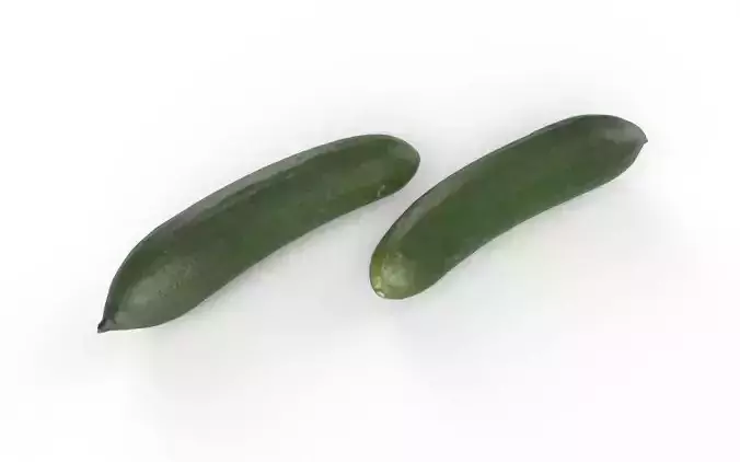 Cucumber M13 Low-poly 3D model 5