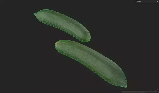 Cucumber M13 Low-poly 3D model 7