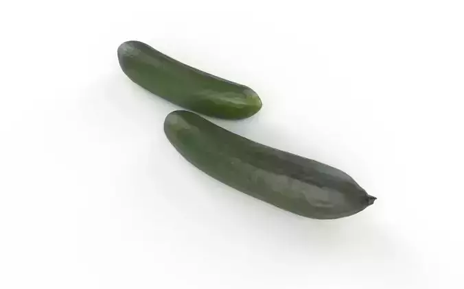 Cucumber M13 Low-poly 3D model 4