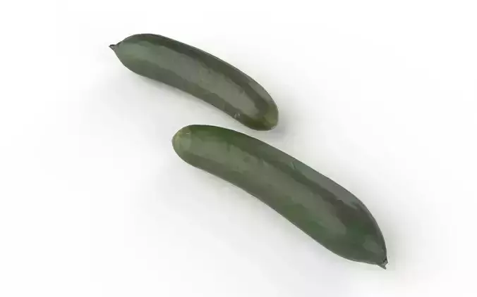 Cucumber M13 Low-poly 3D model 6