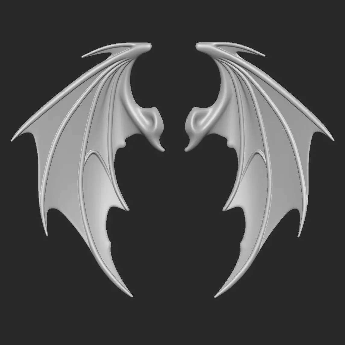 wings 3D print model_0