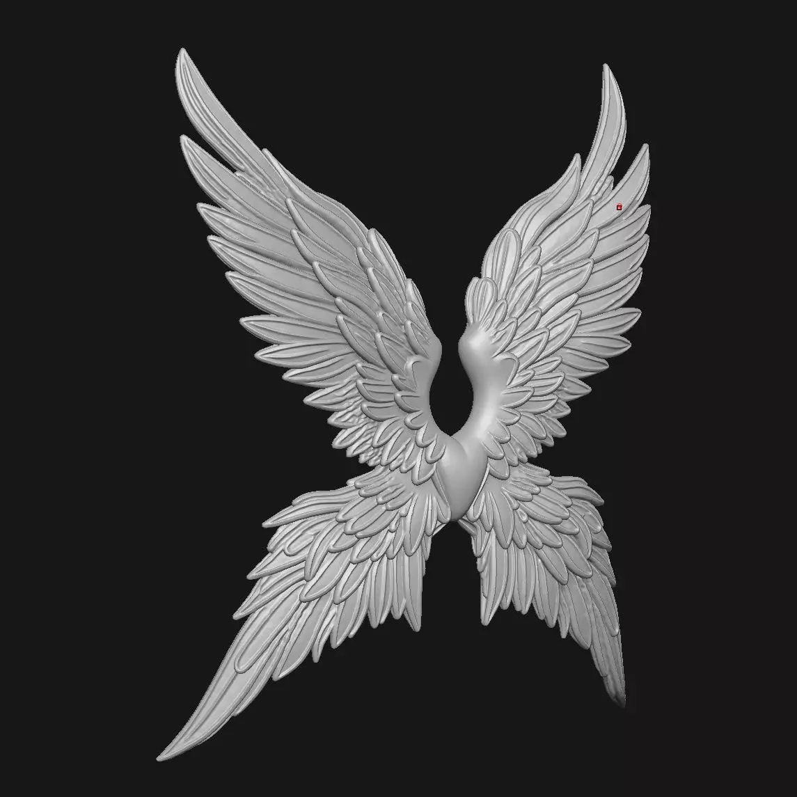 wings 3D print model_0