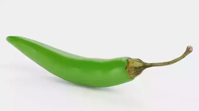 Green Chilli Pepper - Realistic Hot Food Prop 3D model 7