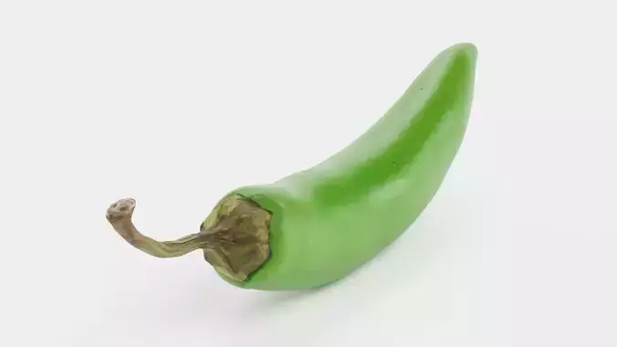 Green Chilli Pepper - Realistic Hot Food Prop 3D model 6
