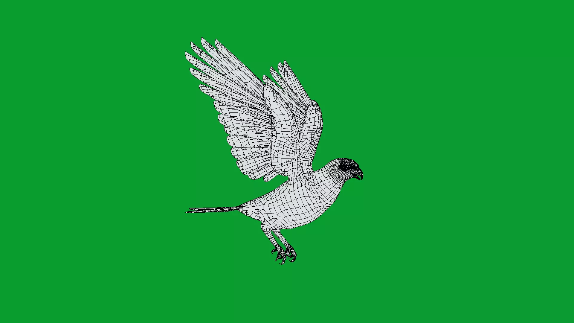 Eurasian Goshawk Bird Low-poly 3D model_24