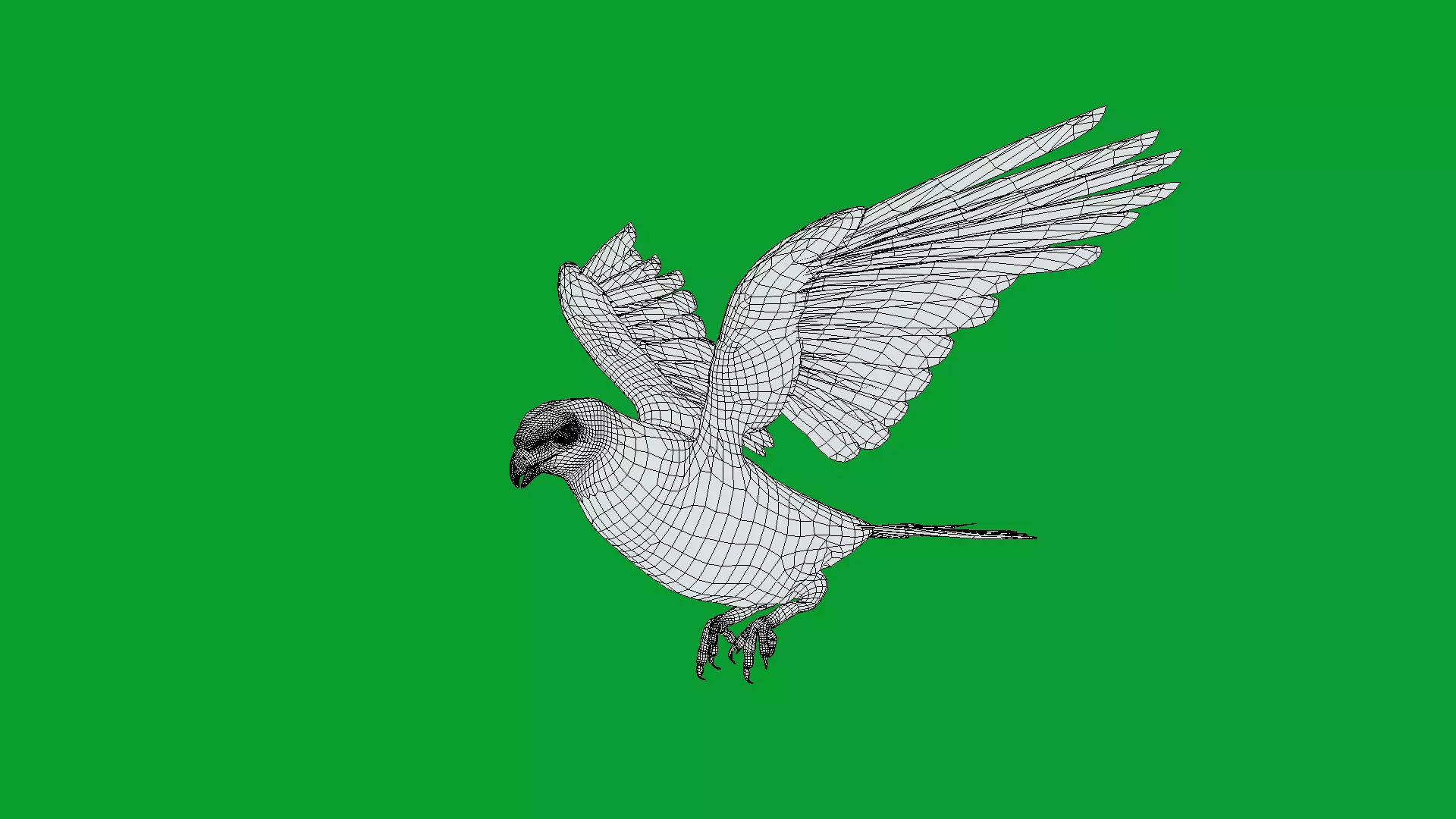 Eurasian Goshawk Bird Low-poly 3D model_21