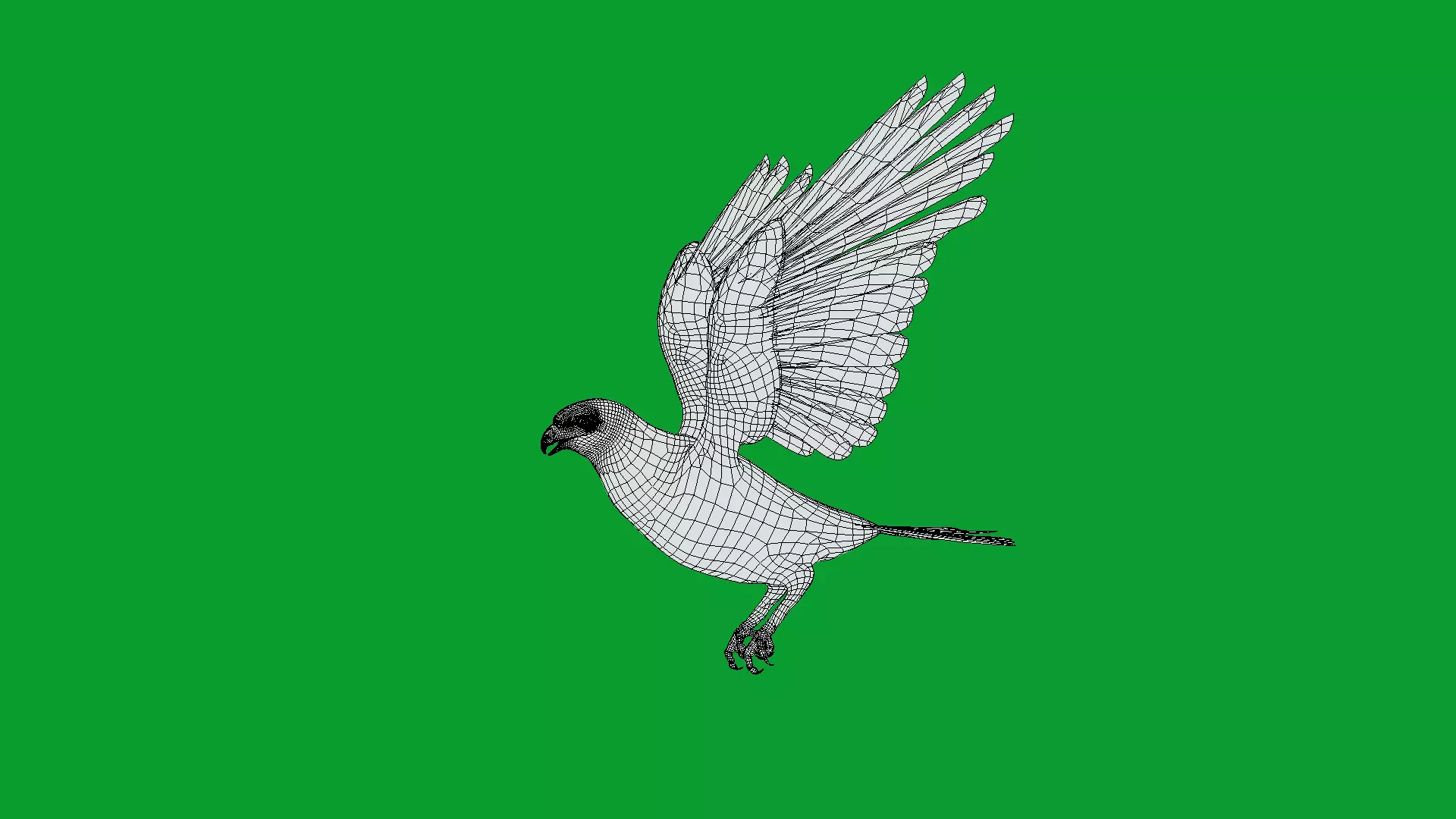 Eurasian Goshawk Bird Low-poly 3D model_29