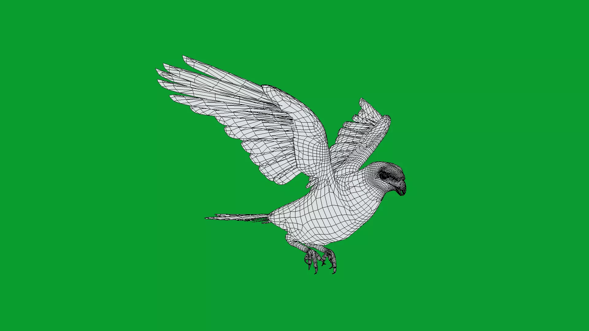 Eurasian Goshawk Bird Low-poly 3D model_19