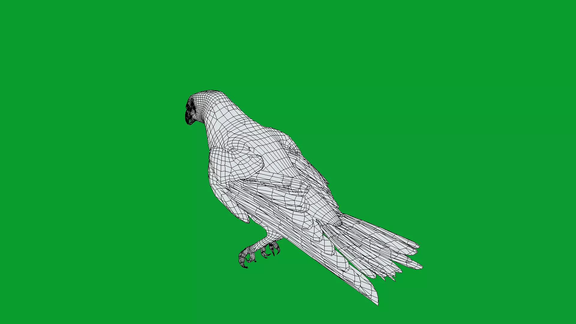 Eurasian Goshawk Bird Low-poly 3D model_23