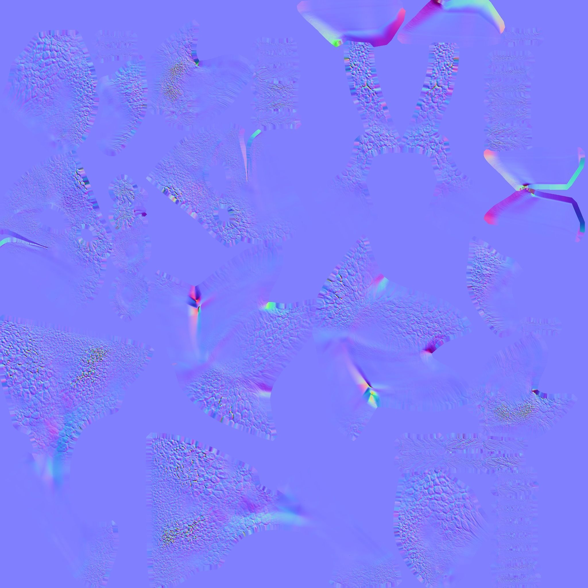 Poisonous Dart Frog Low-poly 3D model_7