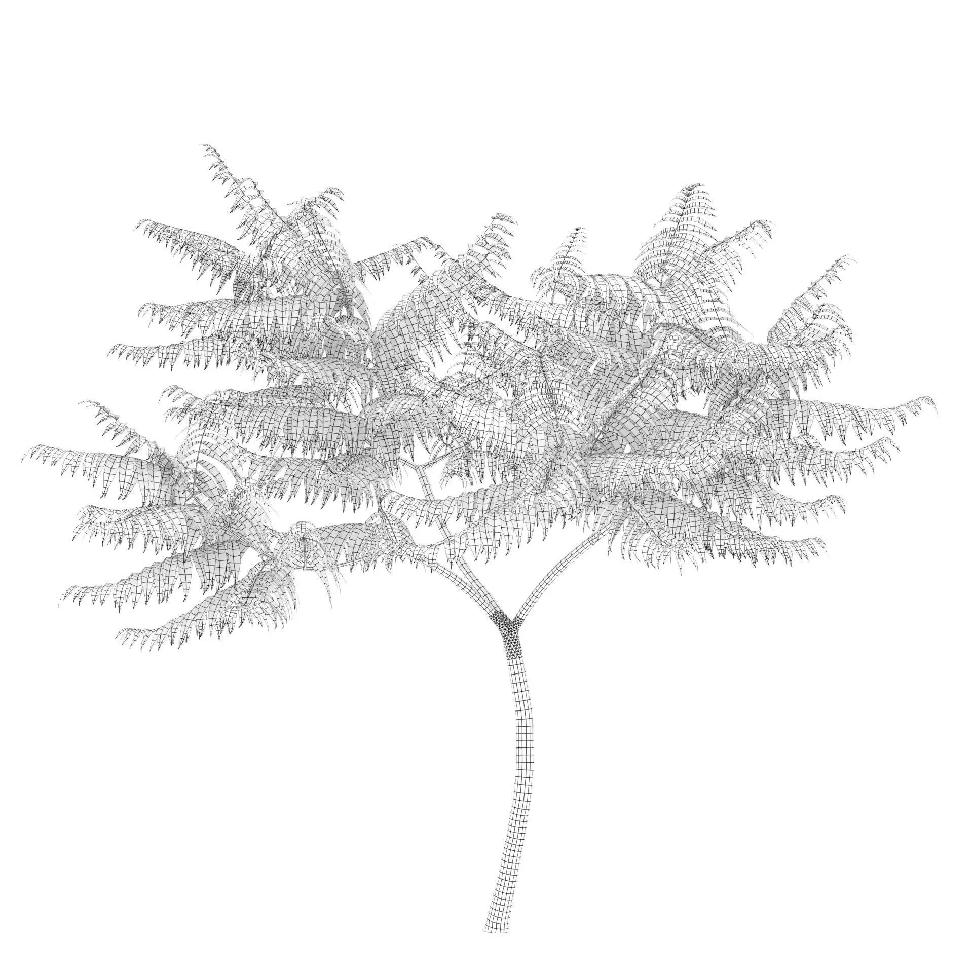 Rhus Typhina 02 3D model_3