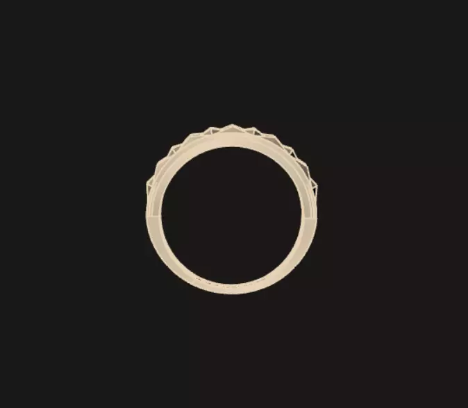 Golring17 3D print model_3