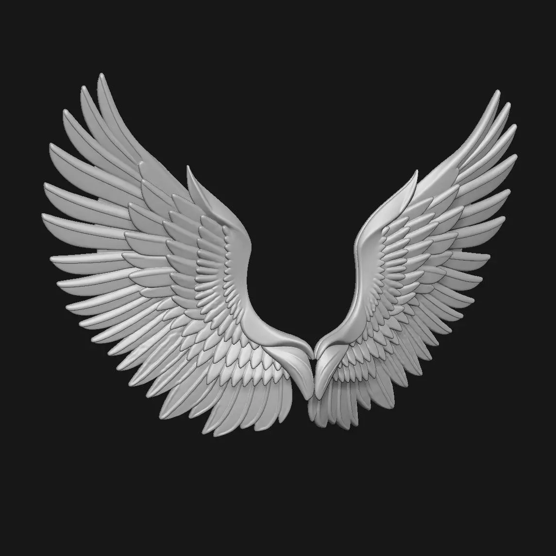 wings 3D print model