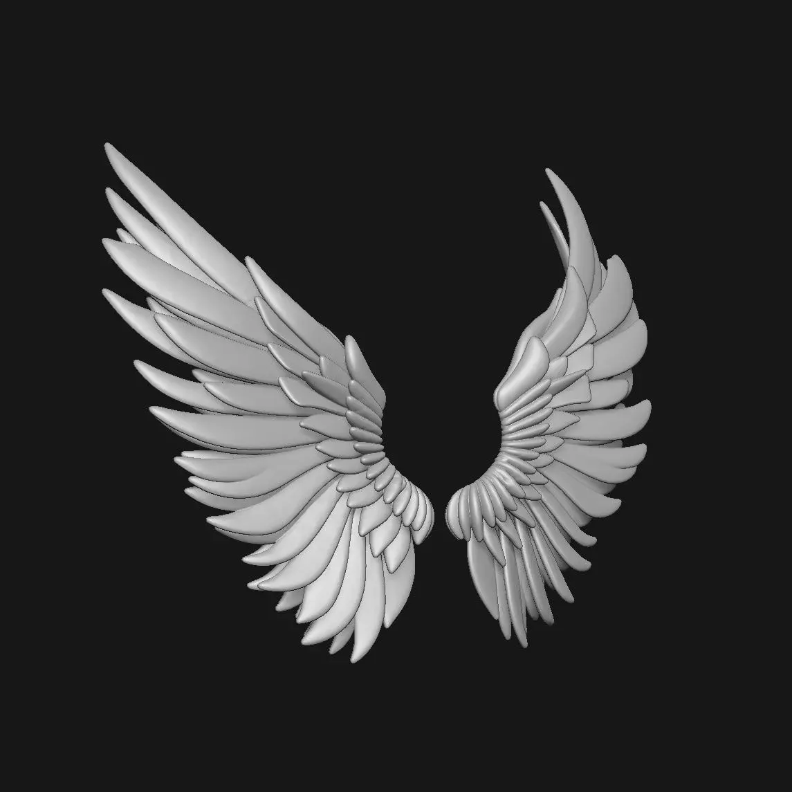 wings 3D print model_2