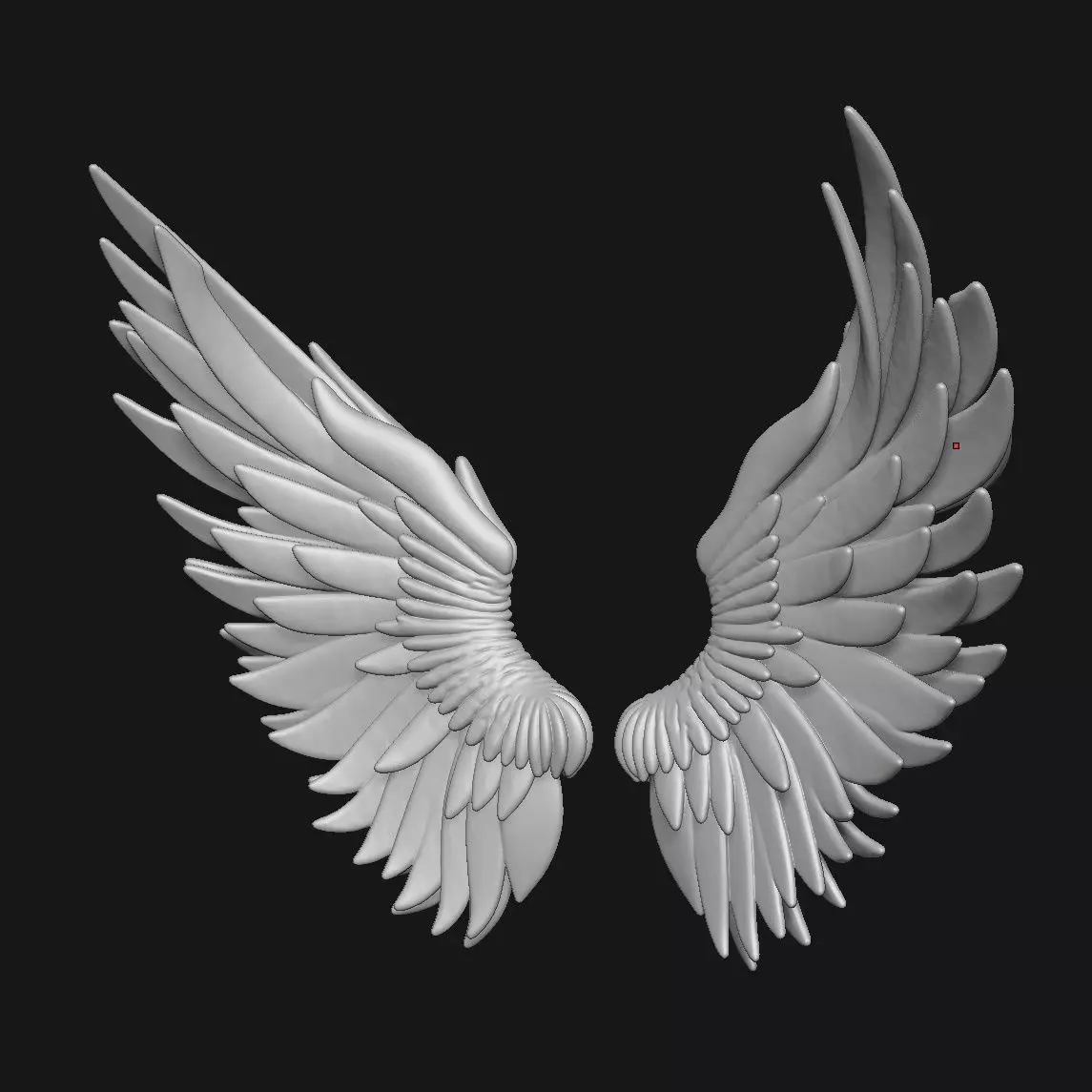 wings 3D print model_3