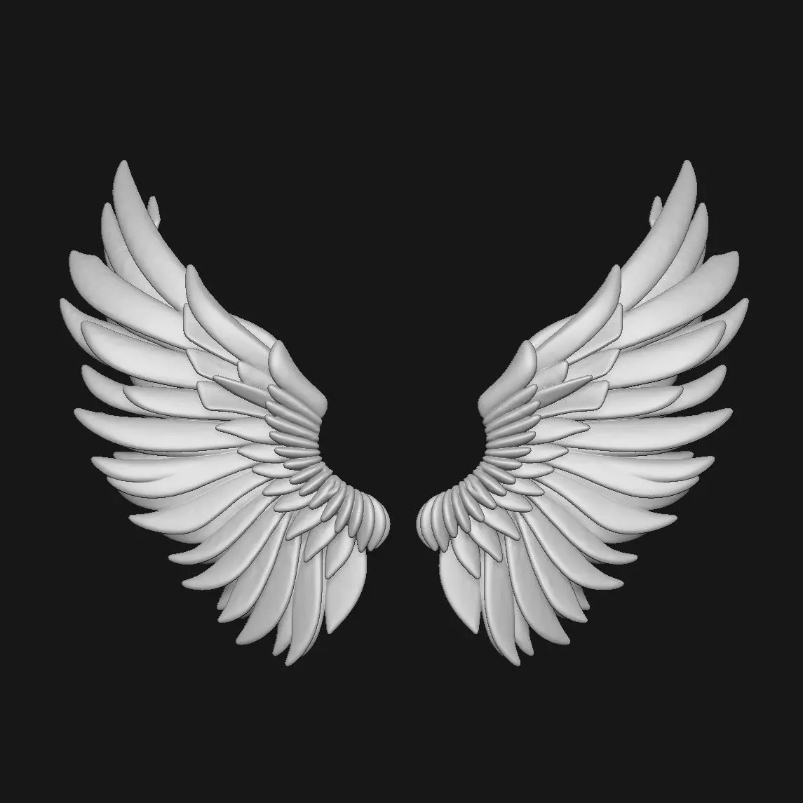 wings 3D print model_1