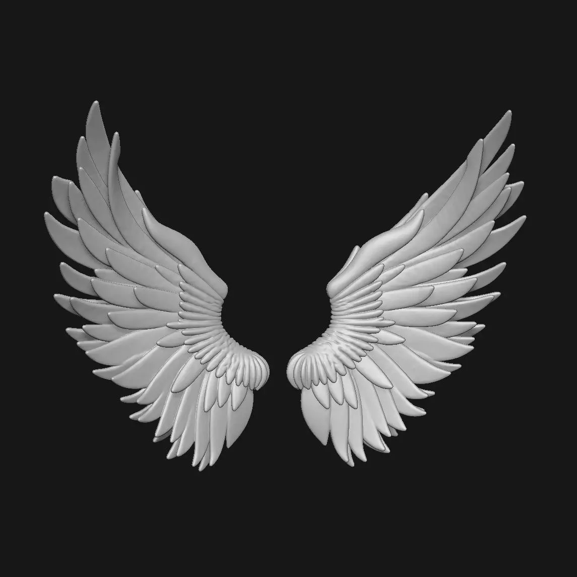 wings 3D print model_0