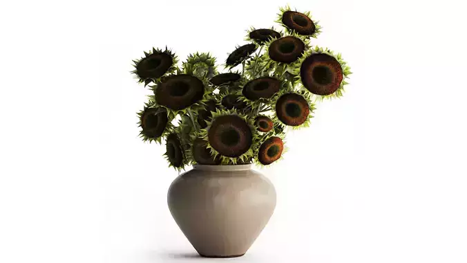 Bouquet green black young sunflower flowers vase decor 679