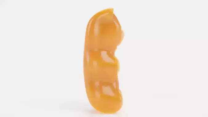 Gummy Bear - Realistic Jelly Candy Prop 3D model 2