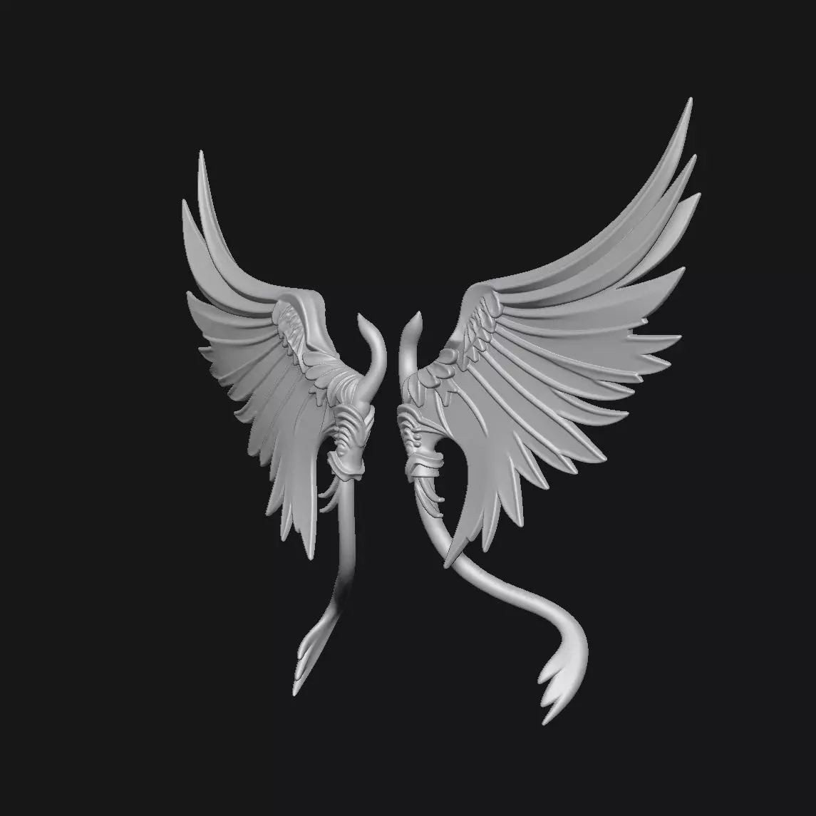 wings 3D print model_1