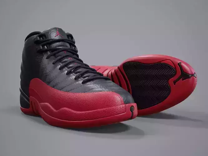 PBR Air Jordan 12-retro sneaker-PBR model-4