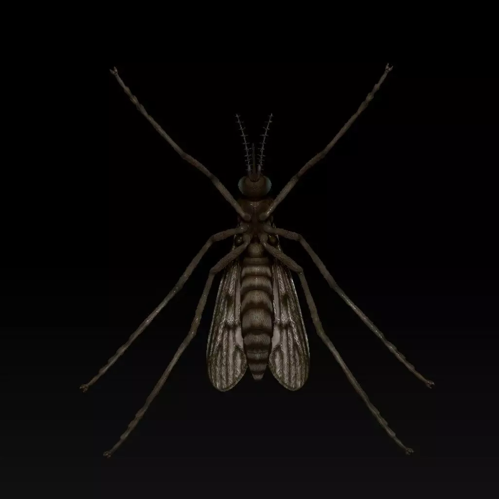 Mosquito 3D print model_4