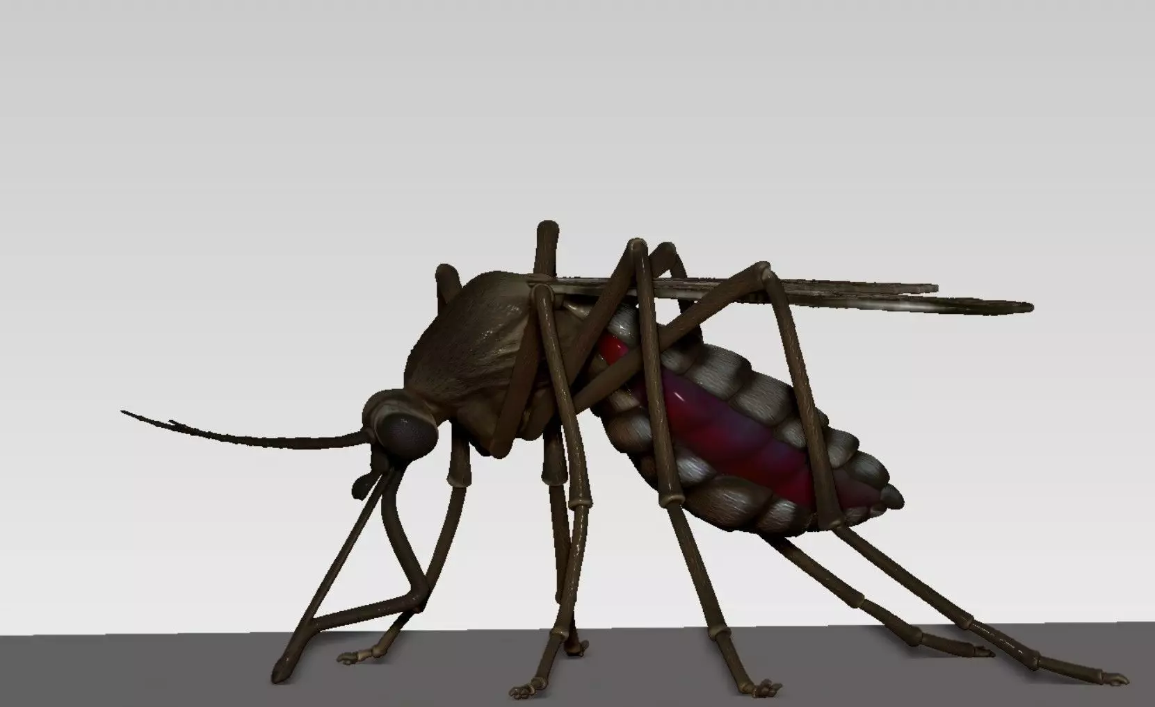Mosquito 3D print model_0