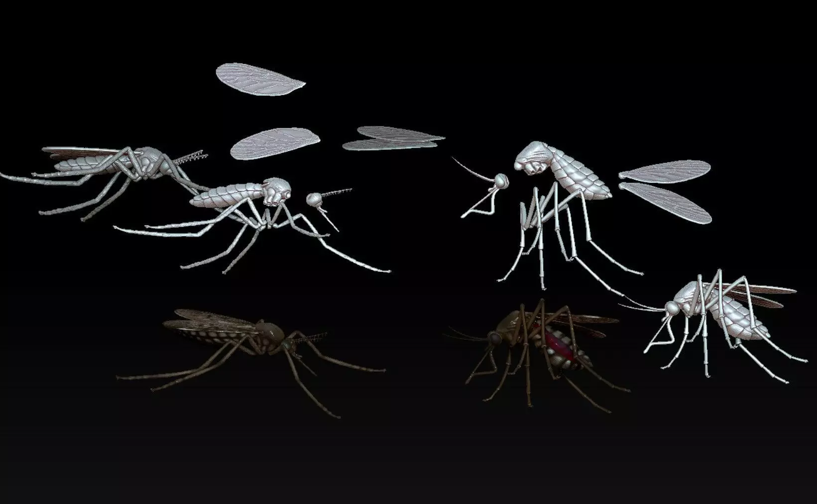 Mosquito 3D print model_6