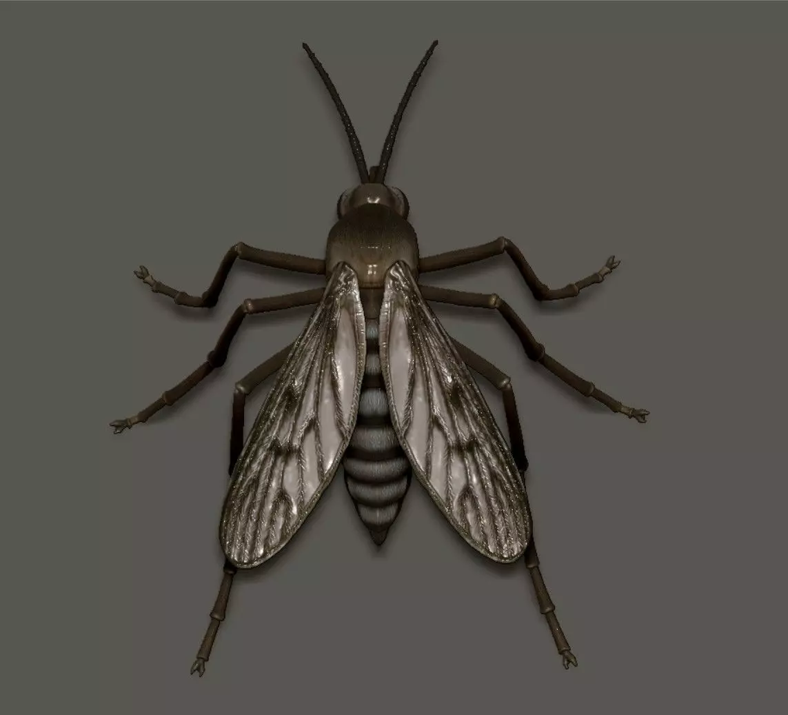Mosquito 3D print model_3