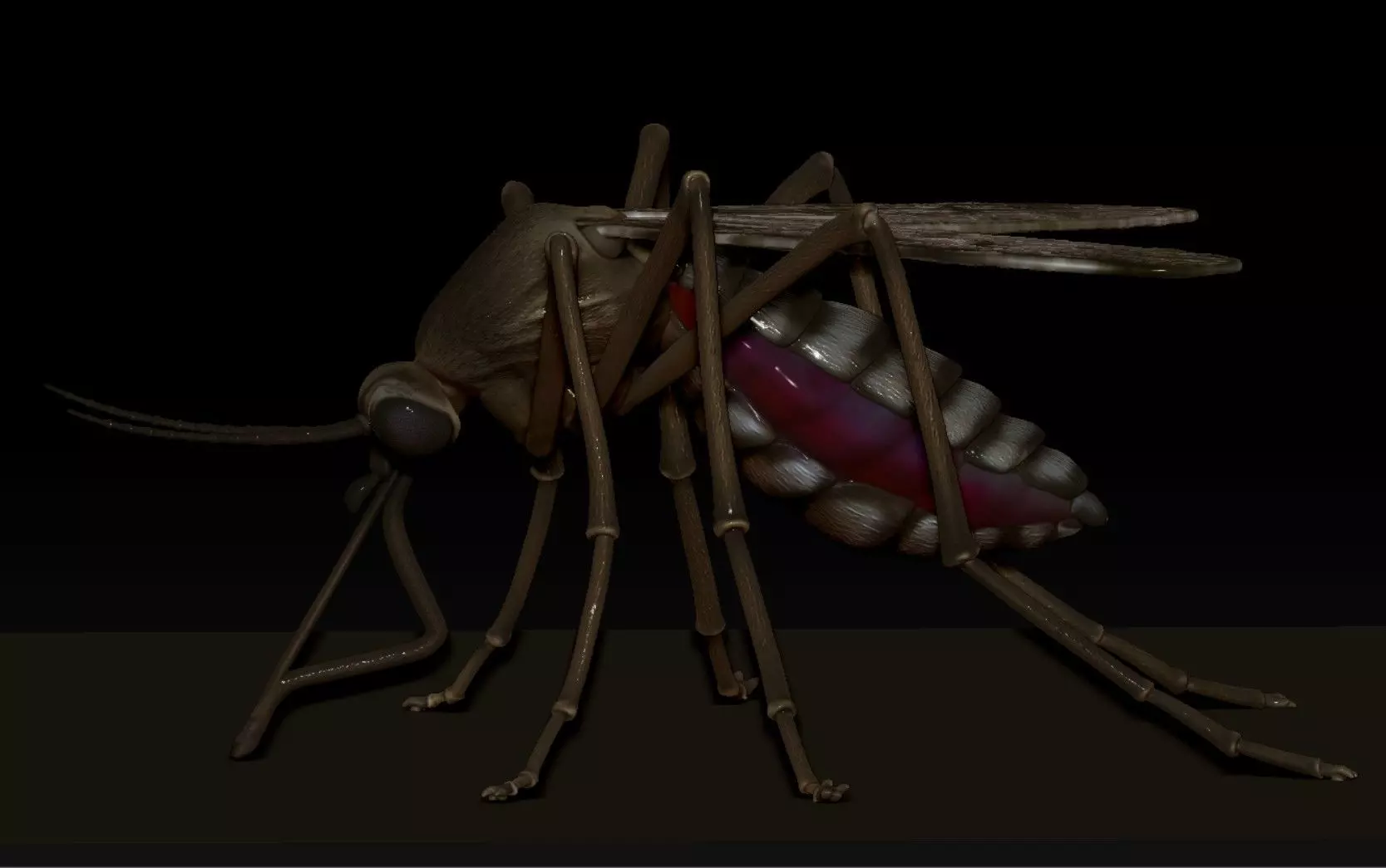 Mosquito 3D print model_1