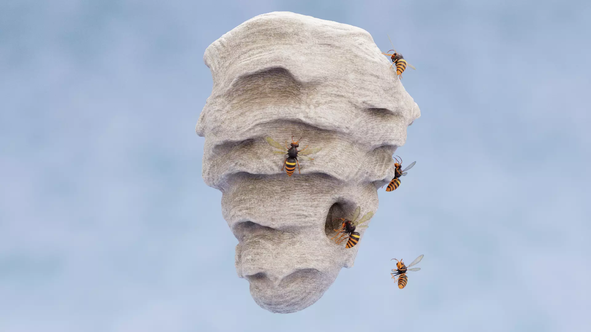 -Hornets with Nest- 3D model_5